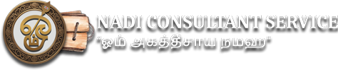 Nadi Astrology Service India